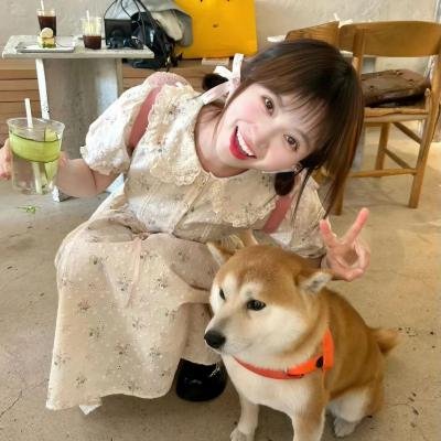 我的小狗斯齐普